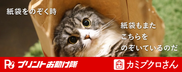twitter_ad_13